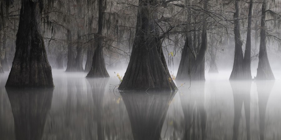 Winners of the 2021 Epson International Pano Awards